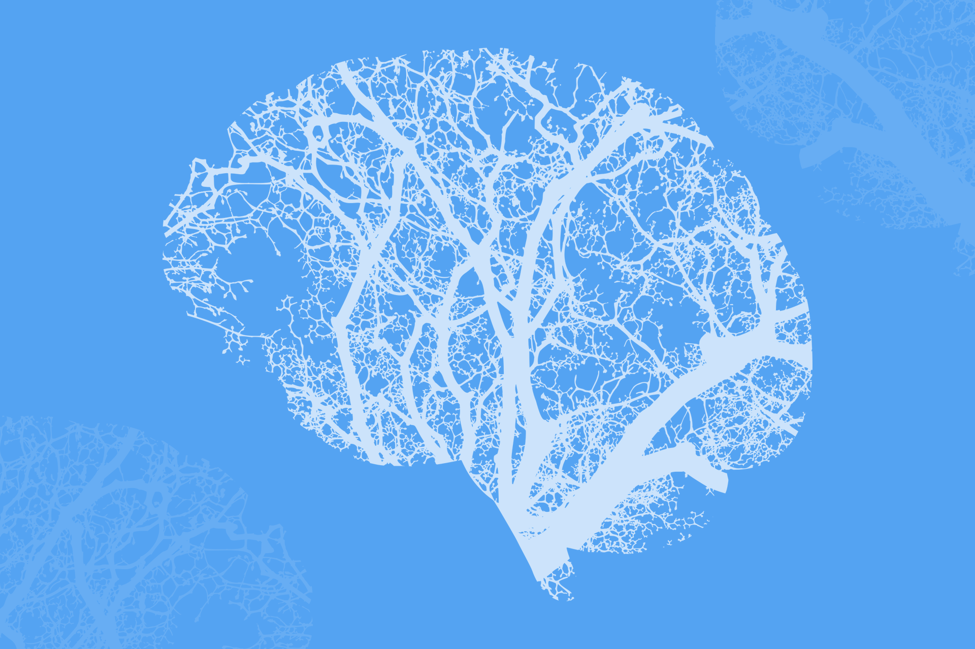 Tips to sharpen your memory